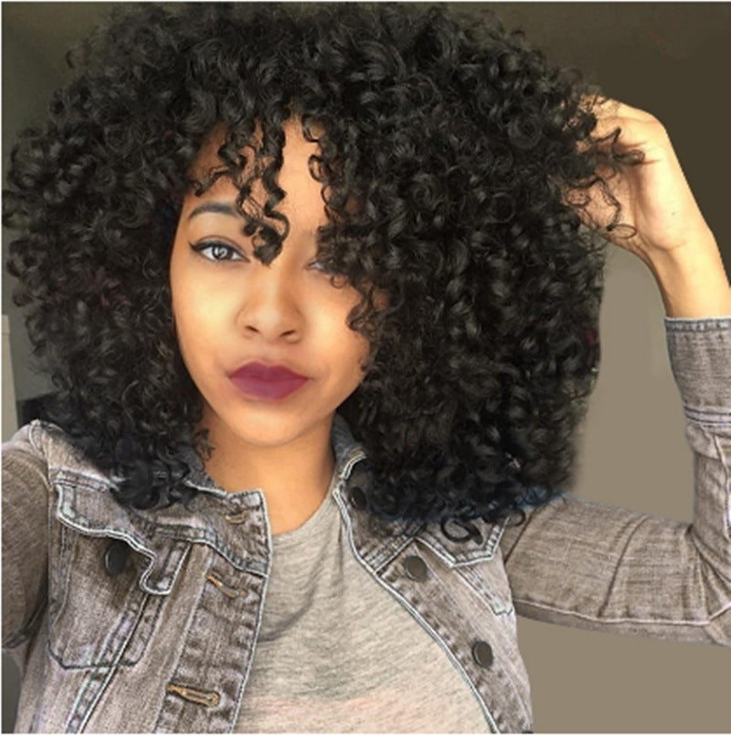 European & African Curly Wigs for Women