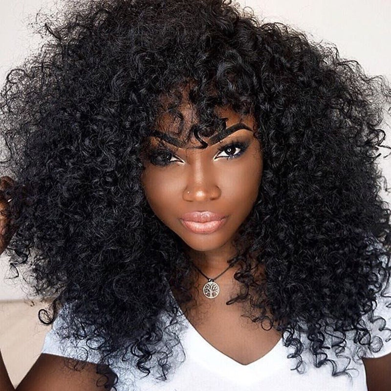 European & African Curly Wigs for Women