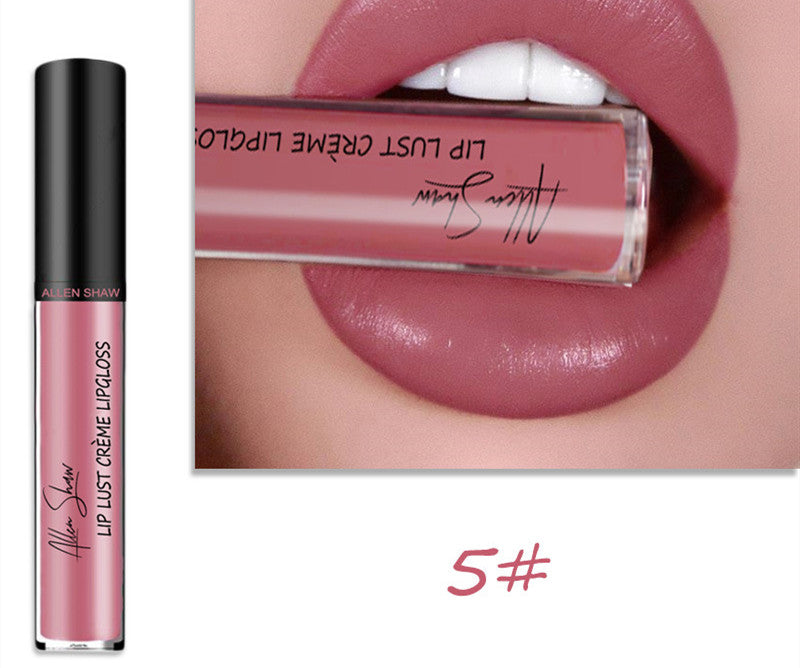 Silky Cream Texture Lip Gloss for Glossy Lips