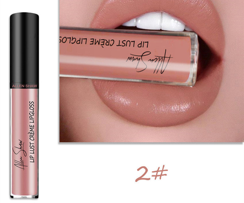 Silky Cream Texture Lip Gloss for Glossy Lips